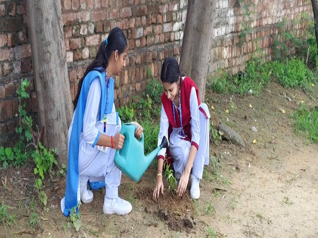 Sant Nischal Singh Public School, Ladwa